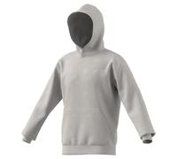 adidas Hombre Seasonal Essentials Monogram Fleece Graphic Hoodie, Grey Two, M