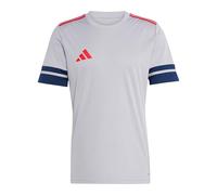 adidas Hombre SQUADRA25 Jersey Short Sleeve, Glory Grey/Team Navy Blue 2/Pure Ruby, S