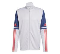 adidas Hombre SQUADRA25 TRAINING JACKET, Glory Grey/Team Navy Blue 2 / Pure Ruby, XXL