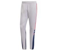 adidas Hombre SQUADRA25 Training Pant, Glory Grey/Team Navy Blue 2 / Pure Ruby, S