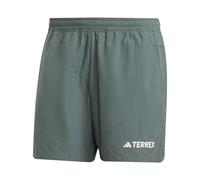 adidas Hombre Terrex Multi Shorts, Legend Ivy, L