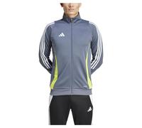 adidas Hombre Tiro24 Training Track Suit, team onix/team semi sol yellow, S