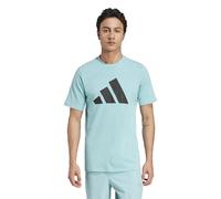adidas Hombre Train Essentials Feelready Logo Training tee, Mint Ton/Black, S