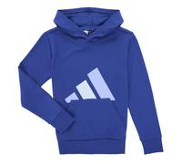 adidas Unisex - Bambini e Ragazzi Essentials Big Logo Hoodie, Team Royal Blue/Blue Fusion/Glow Blue, 9-10 Years