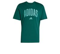 adidas Men's Camiseta Estampada Collegiate Lineage, Collegiate Green, S