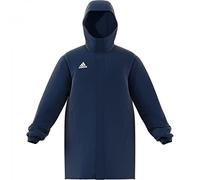 adidas Mens Insulated Jacket Ent22 Stadjkt, Tenabl, HG6301, M EU