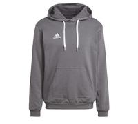 Adidas Men's Sudadera con Capucha Entrada 22, Team Grey Four, XL