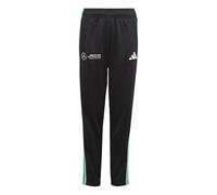 ADIDAS PERFORMANCE Pantalón deportivo 'Mercedes - AMG Petronas Formula One Team DNA' aqua / negro / blanco 176xregular aqua / negro / blanco