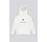 adidas Minimal - Arena - Sudadera Capucha Niño talla 16