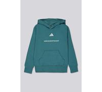 adidas Minimal - Verde - Sudadera Capucha Niño