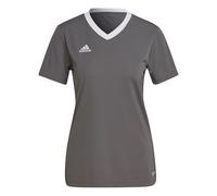 adidas Mujer Entrada 22 Jersey, Team Grey Four, M