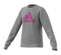 Adidas Niñas Essentials Big Logo Cotton Sweatshirt, Medium Grey Heather/Semi Lucid Blue, 9-10 Years