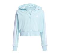 adidas Niñas Essentials Full Zip Crop Hoodie Sweatshirt, Halo Mint/White, 7-8 Years
