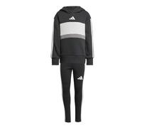 adidas Niñas Seasonal Essentials Tiberio 3 Stripes Fleece Leggings Set Track Suit, black/white/grey two, 13-14 Years