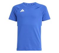 adidas Niñas Volleyball Hilo Short Sleeve Jersey Youth Shirt, Team Royal Blue, 13-14 Years