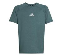 adidas Niños Goto PZ T-Shirt, Aurora Ivy/Powder Teal/Reflective Silver, 9-10 Years