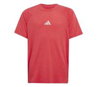 adidas Niños Goto PZ T-Shirt, Pure Ruby/Lucid Red/Reflective Silver, 5-6 Years