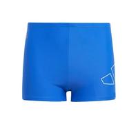 adidas Niños Performance Big Bars Swim Boxers Kids, Royal Blue, 15-16 Years