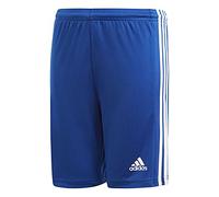 adidas Niños Squadra 21 Shorts, Royal Blue / White, 9-10 Years