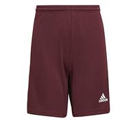 adidas Niños Squadra 21 Shorts, Team Maroon / White, 7-8 Years