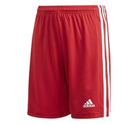 adidas Niños Squadra 21 Shorts, Team Power Red / White, 7-8 Years