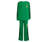 ADIDAS ORIGINALS Conjunto 'Adidas Originals X Minecraft' verde / negro XXXS-XXS verde / negro