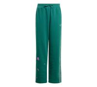 ADIDAS ORIGINALS Pantalón 'Minecraft' verde / verde pastel 128xregular EUR