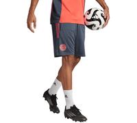 Adidas - Pantalón corto Fc Bayern Training 2025-2026, Unisex, Bold Onix, L