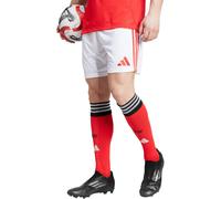 Adidas - Pantalón corto SLB Benfica Primera Equipación 2025-2026, Unisex, White, 2XL