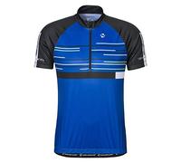 Adidas FCB TR Pnt Pantalones de Tracksuit, azulón, Medium Hombres