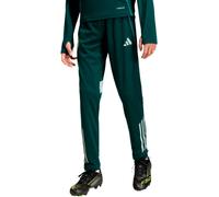 Adidas - Pantalón largo Arsenal FC Training 2025-2026 Niño, Unisex, Green, 140 cm