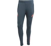 Adidas - Pantalón largo Fc Bayern Training 2025-2026, Unisex, Bold Onix, M