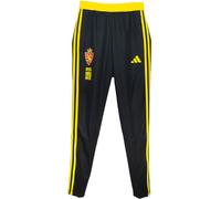 Adidas - Pantalón largo Real Zaragoza Pre-Match 2023-2024 Niño, Unisex, Azul, 116 cm