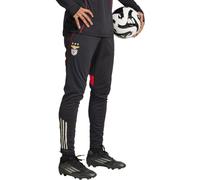 Adidas - Pantalón largo SLB Benfica Training 2025-2026, Unisex, Black, L