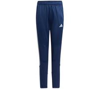 Adidas - Pantalón largo Tiro 23 Club Winter Niño, Unisex, Team Navy Blue -Halo Silver, 140 cm