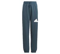 adidas Pantalón Marca Modelo U FI Logo PT