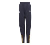 adidas Pantalones deportivos de fútbol unisex para niños REAL TR PNT Y, Azul, 152