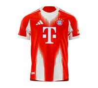 ADIDAS PERFORMANCE Camiseta de fútbol 'Authentic Home 25-26' rojo / blanco M rojo / blanco