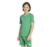 ADIDAS PERFORMANCE Camiseta funcional 'ENT26' verde / blanco 128 verde / blanco