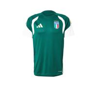 ADIDAS PERFORMANCE Camiseta de fútbol 'FIGC TR JSY' verde XL verde