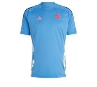 ADIDAS PERFORMANCE Camiseta de fútbol 'France Performance' azul / azul oscuro / rojo / blanco Hombre ADIDAS PERFORMANCE Sxregular azul / azul oscuro / rojo / blanco