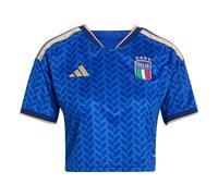 ADIDAS PERFORMANCE Camiseta de fútbol 'Italy 26 Home Cropped' azul / verde / rojo / blanco XL-XXL azul / verde / rojo / blanco