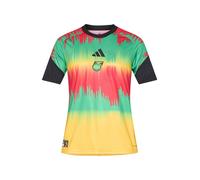 ADIDAS PERFORMANCE Camiseta de fútbol 'JFF H PRESHI' turquesa / oro / rojo / negro M turquesa / oro / rojo / negro
