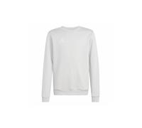 ADIDAS PERFORMANCE Camiseta deportiva 'Entrada26' gris claro / blanco 176 gris claro / blanco