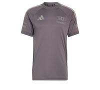 ADIDAS PERFORMANCE Camiseta funcional 'Audi Formula One Team Driver' gris / color barro MxTallas normales gris / color barro