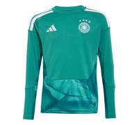ADIDAS PERFORMANCE Camiseta funcional 'DFB H GK JSY' verde neón 176 verde neón