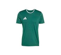 ADIDAS PERFORMANCE Camiseta funcional 'ENT26' verde / blanco XS verde / blanco