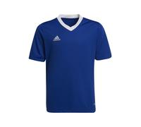 ADIDAS PERFORMANCE Camiseta funcional 'Entrada 22' azul real / blanco Infantil ADIDAS PERFORMANCE 116 azul real / blanco
