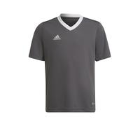 ADIDAS PERFORMANCE Camiseta funcional 'Entrada 22' grafito / blanco 140 grafito / blanco