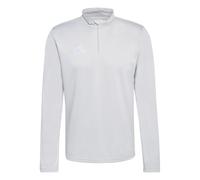 ADIDAS PERFORMANCE Camiseta funcional 'Entrada26' gris claro 4XL-5XLxTallas normales EUR